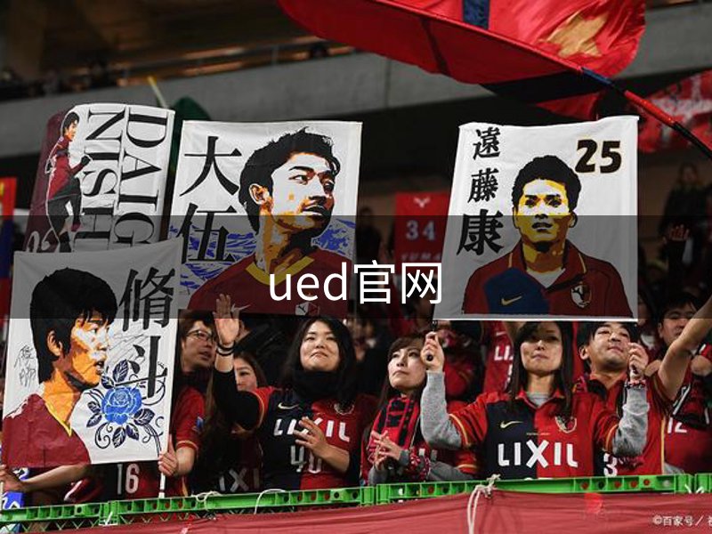 网站概况